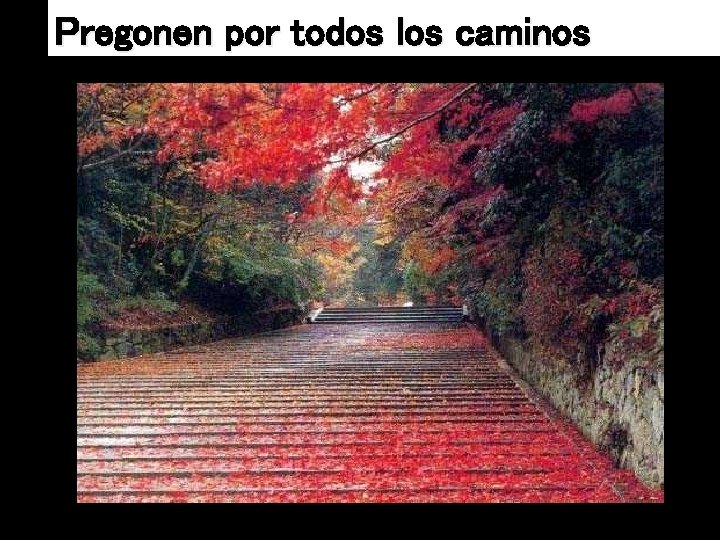 Pregonen por todos los caminos 