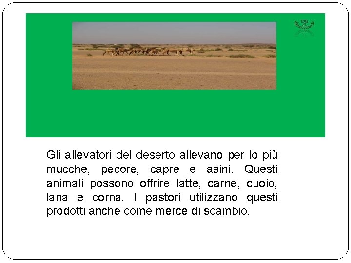 Gli allevatori del deserto allevano per lo più mucche, pecore, capre e asini. Questi