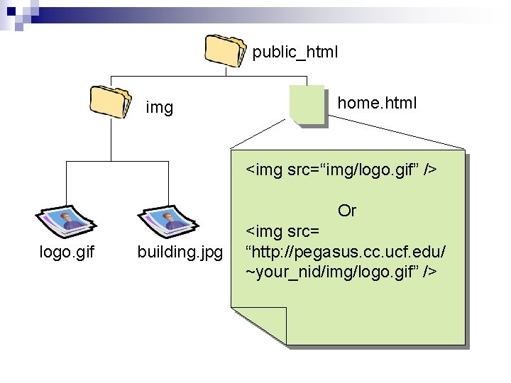 public_html img home. html <img src=“img/logo. gif” /> Or logo. gif building. jpg <img