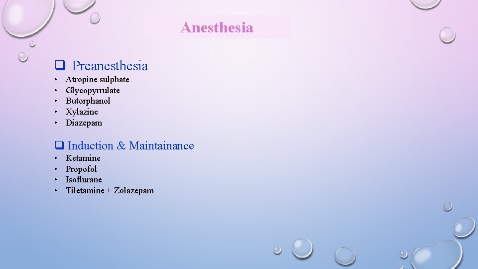 Anesthesia q Preanesthesia • • • Atropine sulphate Glycopyrrulate Butorphanol Xylazine Diazepam q Induction