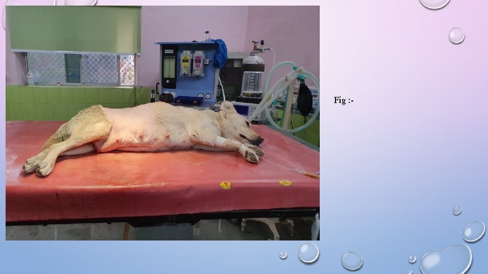 Fig : - 