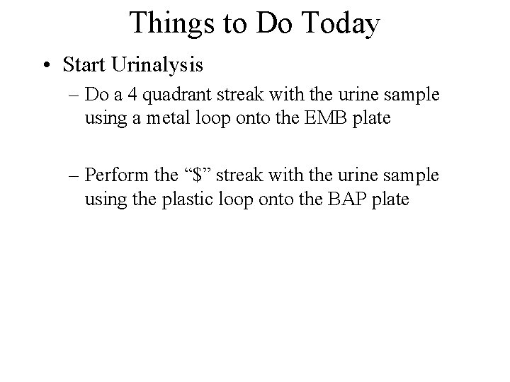 Things to Do Today • Start Urinalysis – Do a 4 quadrant streak with