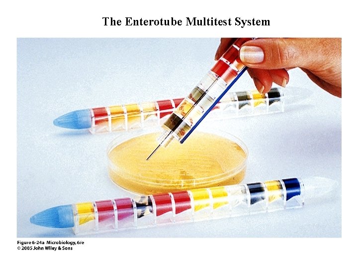 The Enterotube Multitest System 