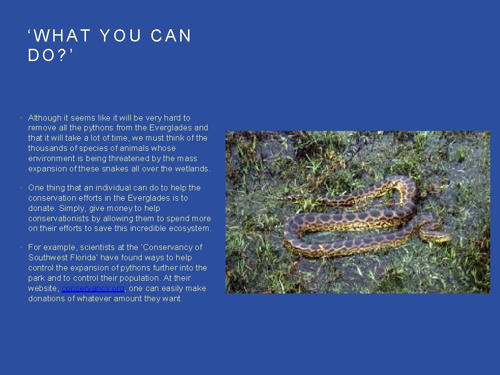 ‘WHAT YOU CAN DO? ’ • Although it seems like it will be very