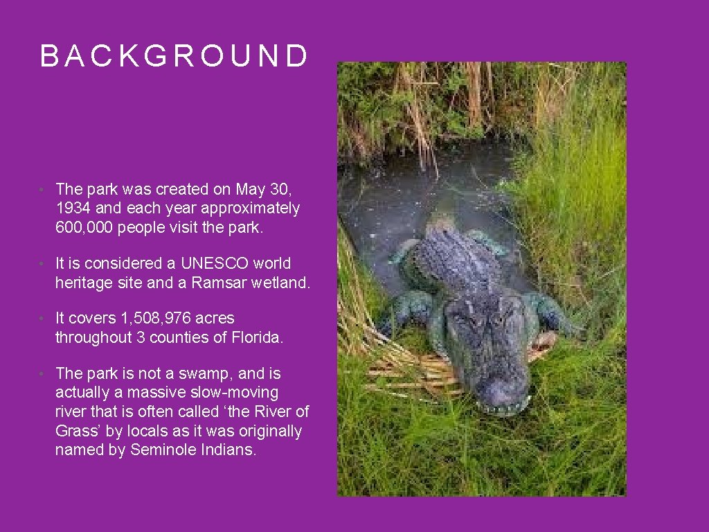 BACKGROUND • The park was created on May 30, 1934 and each year approximately