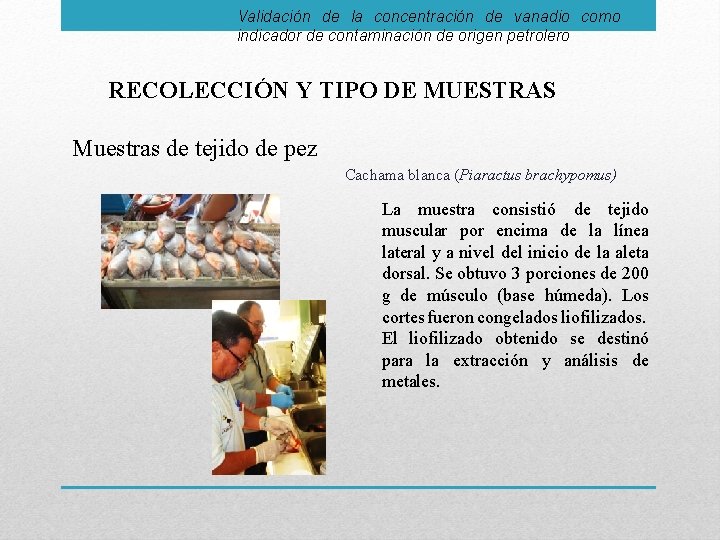 Validación de la concentración de vanadio como indicador de contaminación de origen petrolero RECOLECCIÓN