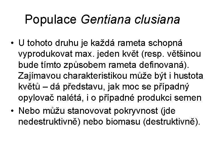 Populace Gentiana clusiana • U tohoto druhu je každá rameta schopná vyprodukovat max. jeden