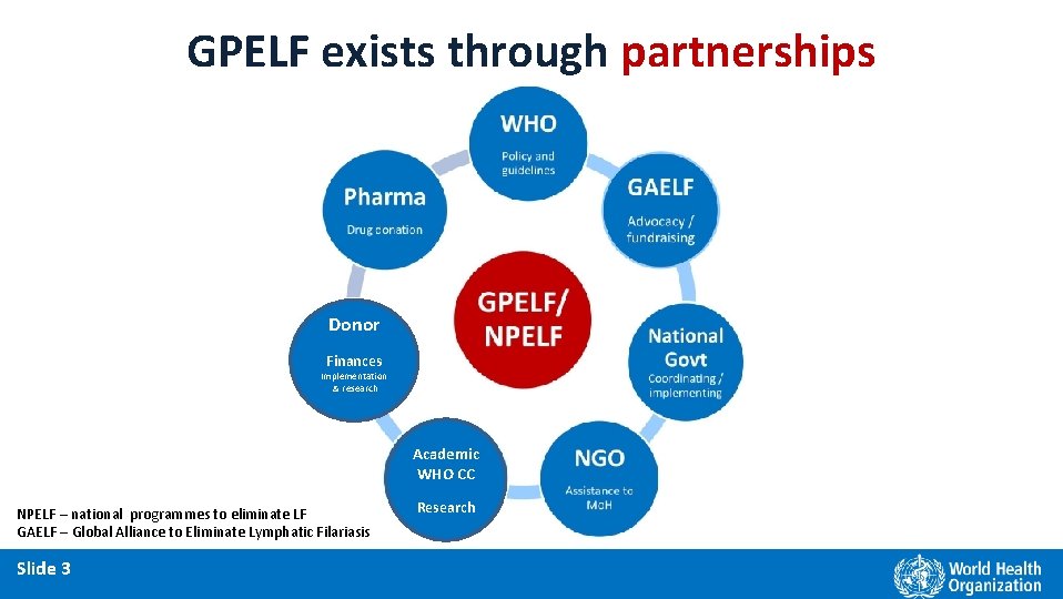 GPELF exists through partnerships Donor Finances Implementation & research Academic WHO CC NPELF –
