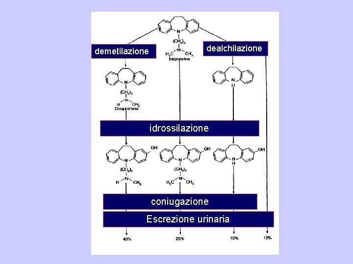 demetilazione dealchilazione idrossilazione coniugazione Escrezione urinaria 