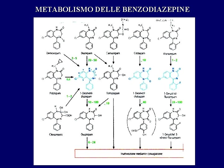 METABOLISMO DELLE BENZODIAZEPINE 