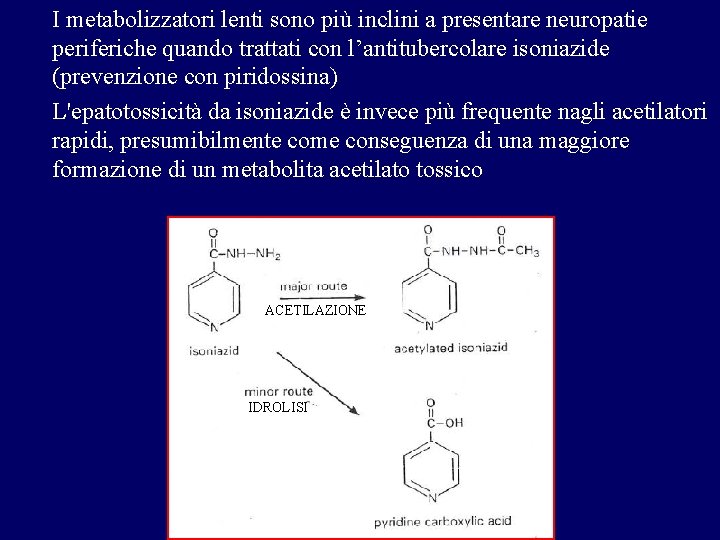 I metabolizzatori lenti sono più inclini a presentare neuropatie periferiche quando trattati con l’antitubercolare