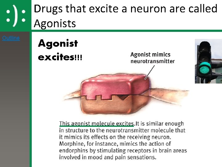 Drugs that excite a neuron are called Agonists Outline Agonist excites!!! 