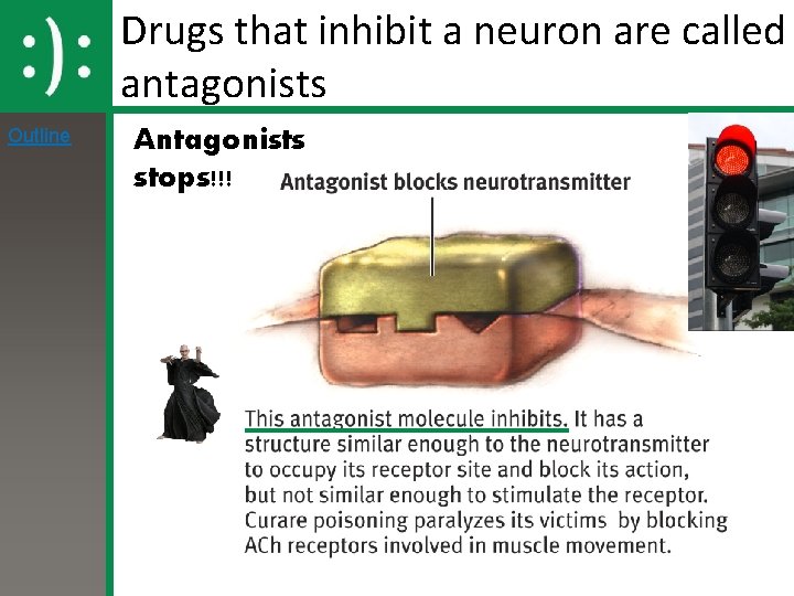 Drugs that inhibit a neuron are called antagonists Outline Antagonists stops!!! 