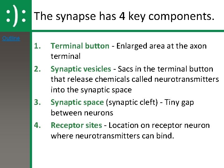 The synapse has 4 key components. Outline 1. 2. 3. 4. Terminal button -