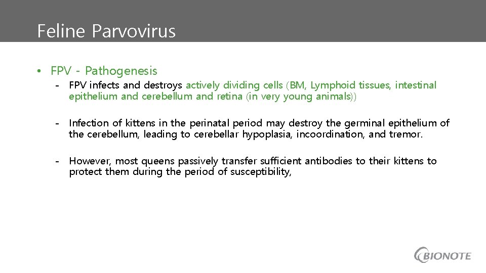 Feline Parvovirus • FPV - Pathogenesis - FPV infects and destroys actively dividing cells