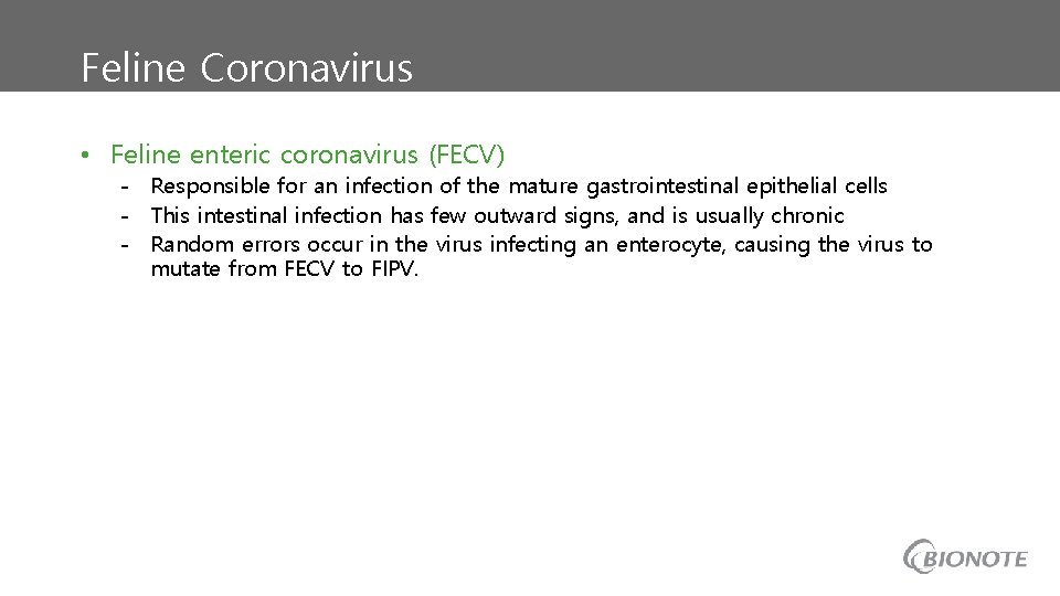 Feline Coronavirus • Feline enteric coronavirus (FECV) - Responsible for an infection of the