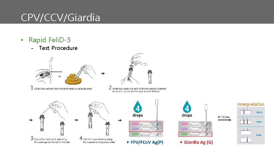 CPV/CCV/Giardia • Rapid Feli. D-3 - Test Procedure 