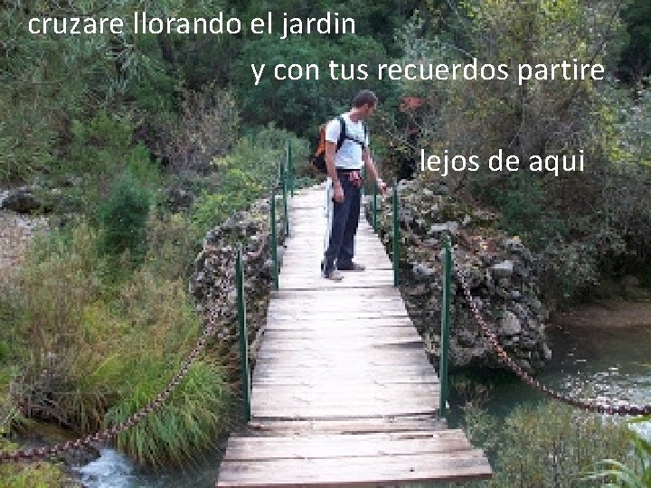 cruzare llorando el jardin y con tus recuerdos partire lejos de aqui. . .