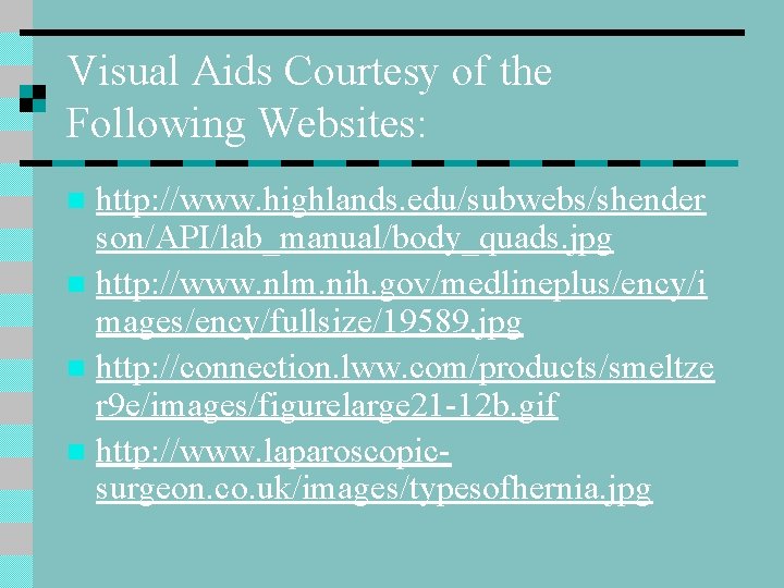 Visual Aids Courtesy of the Following Websites: http: //www. highlands. edu/subwebs/shender son/API/lab_manual/body_quads. jpg n