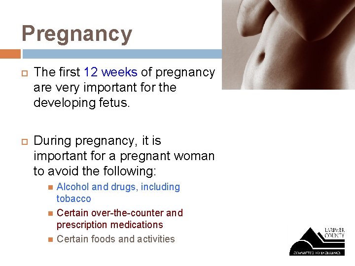 Pregnancy The first 12 weeks of pregnancy are very important for the developing fetus.