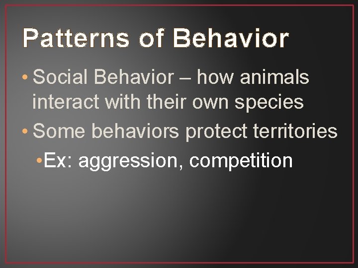 Patterns of Behavior • Social Behavior – how animals interact with their own species