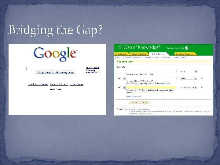 Bridging the Gap? 