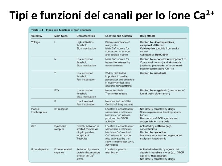 Tipi e funzioni dei canali per lo ione Ca 2+ 