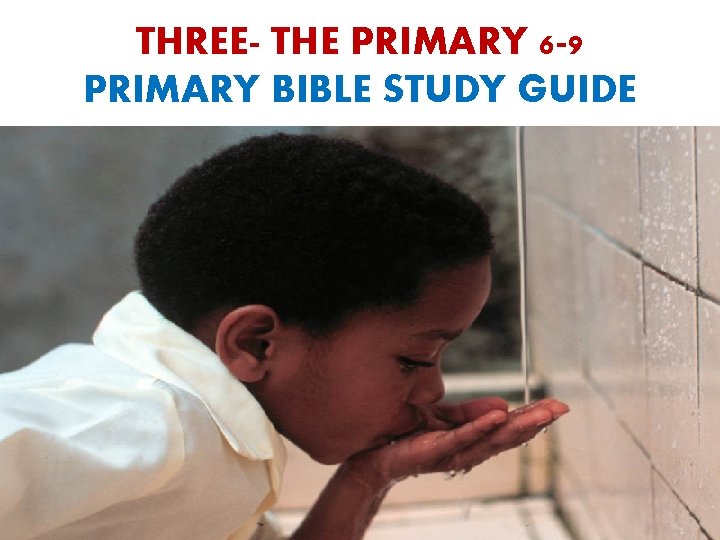 THREE- THE PRIMARY 6 -9 PRIMARY BIBLE STUDY GUIDE 