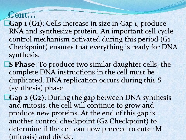 Cont… �Gap 1 (G 1): Cells increase in size in Gap 1, produce RNA