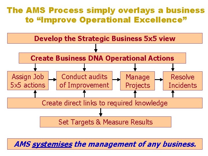 The AMS Process simply overlays a business to “Improve Operational Excellence” Develop the Strategic