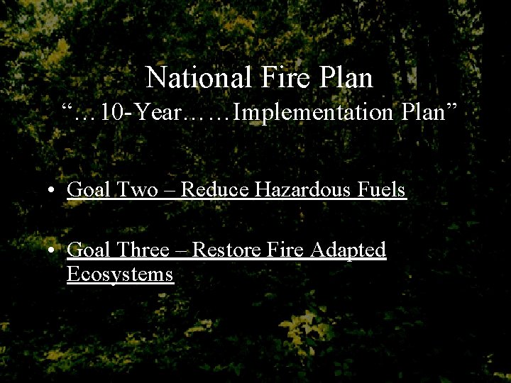 National Fire Plan “… 10 -Year……Implementation Plan” • Goal Two – Reduce Hazardous Fuels