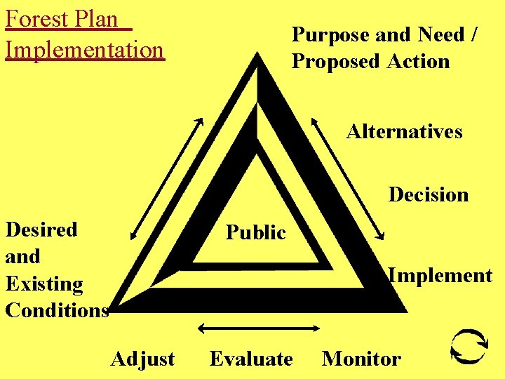 Forest Plan Implementation Purpose and Need / Proposed Action Alternatives Decision Desired and Existing