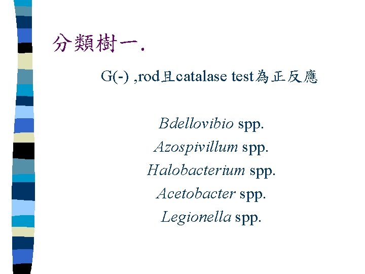 分類樹一. G(-) ‚rod且catalase test為正反應 Bdellovibio spp. Azospivillum spp. Halobacterium spp. Acetobacter spp. Legionella spp.