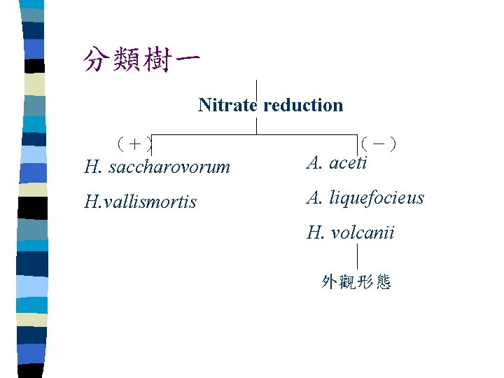 分類樹一 Nitrate reduction （＋） （－） H. saccharovorum A. aceti H. vallismortis A. liquefocieus H.