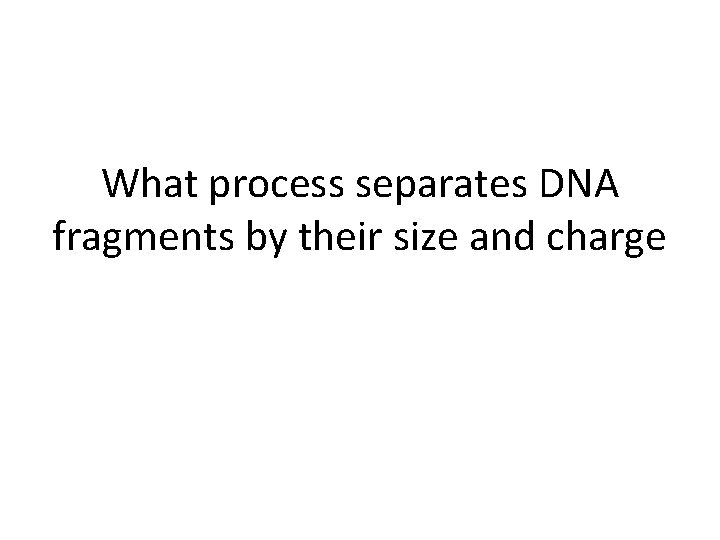 What process separates DNA fragments by their size and charge 
