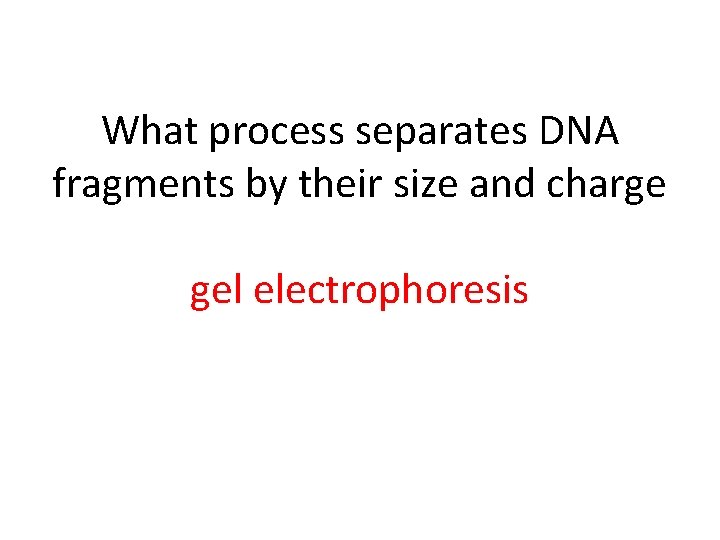 What process separates DNA fragments by their size and charge gel electrophoresis 