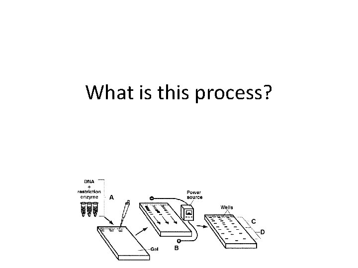 What is this process? 