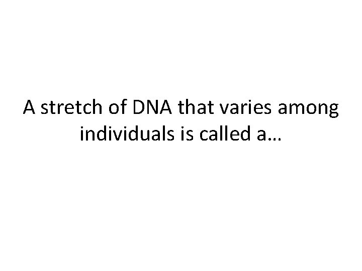 A stretch of DNA that varies among individuals is called a… 