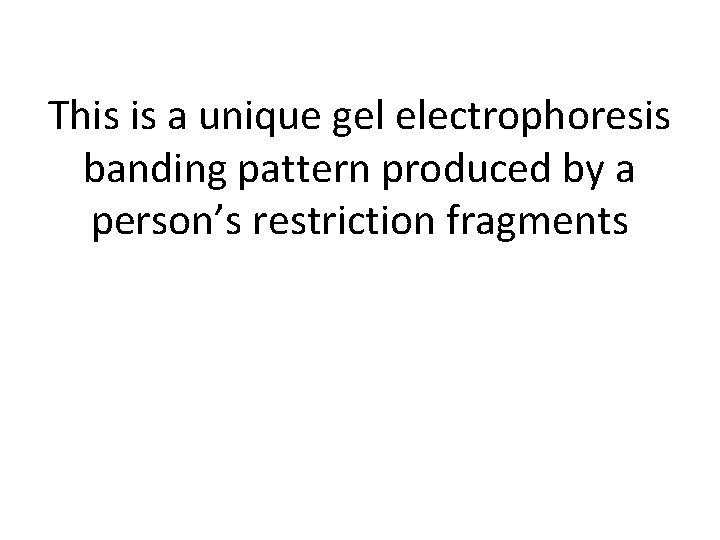 This is a unique gel electrophoresis banding pattern produced by a person’s restriction fragments