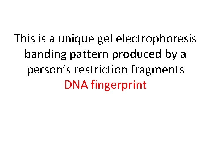 This is a unique gel electrophoresis banding pattern produced by a person’s restriction fragments