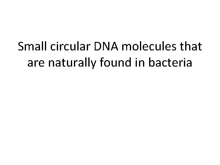 Small circular DNA molecules that are naturally found in bacteria 