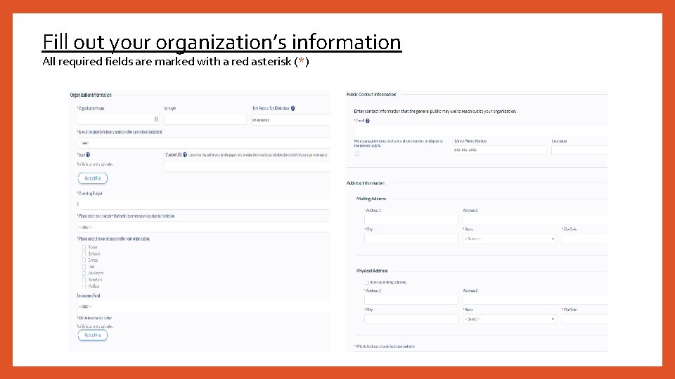 Fill out your organization’s information All required fields are marked with a red asterisk