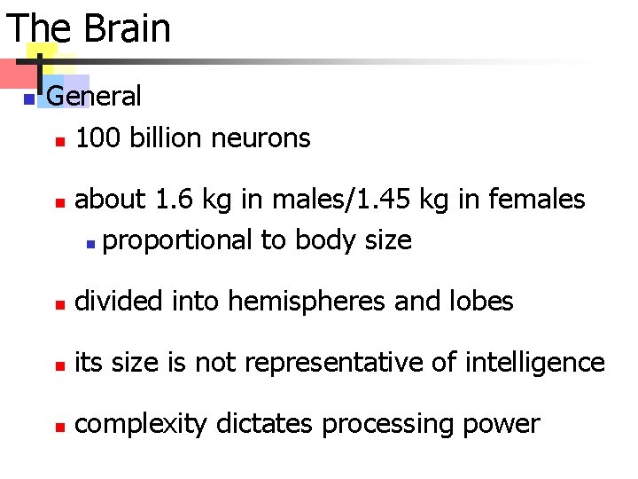 The Brain n General n 100 billion neurons n about 1. 6 kg in