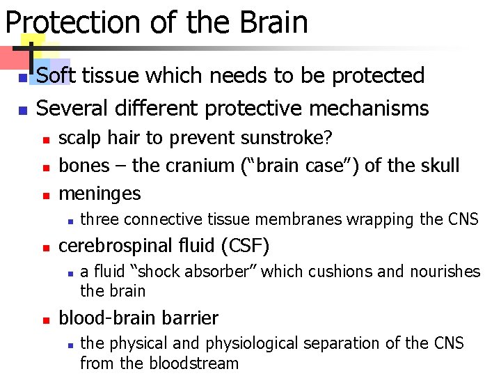 Protection of the Brain n n Soft tissue which needs to be protected Several
