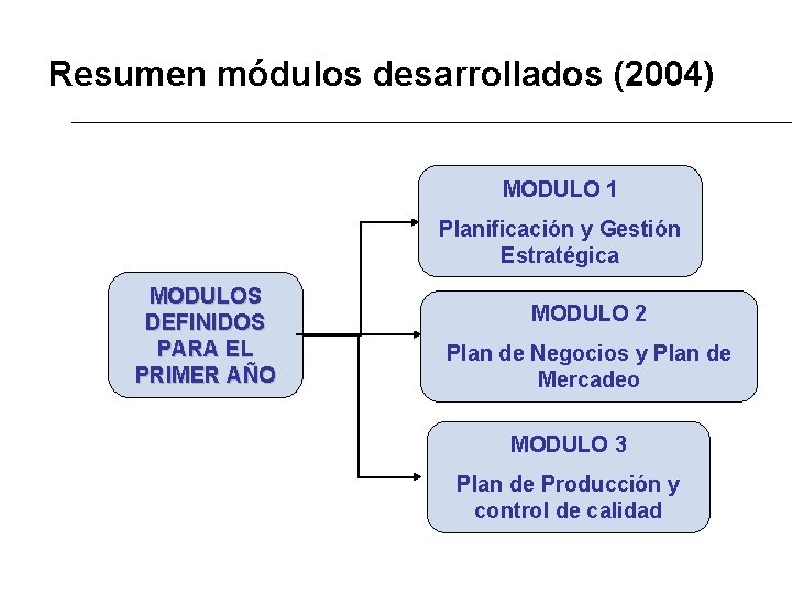 Resumen módulos desarrollados (2004) MODULO 1 Planificación y Gestión Estratégica MODULOS DEFINIDOS PARA EL