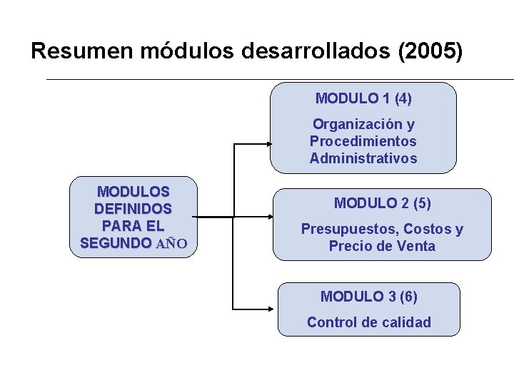 Resumen módulos desarrollados (2005) MODULO 1 (4) Organización y Procedimientos Administrativos MODULOS DEFINIDOS PARA