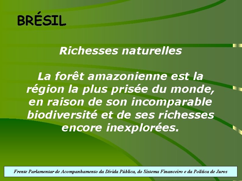 BRÉSIL Richesses naturelles La forêt amazonienne est la région la plus prisée du monde,