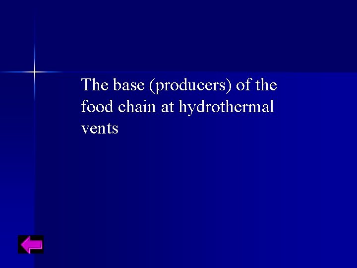 The base (producers) of the food chain at hydrothermal vents 