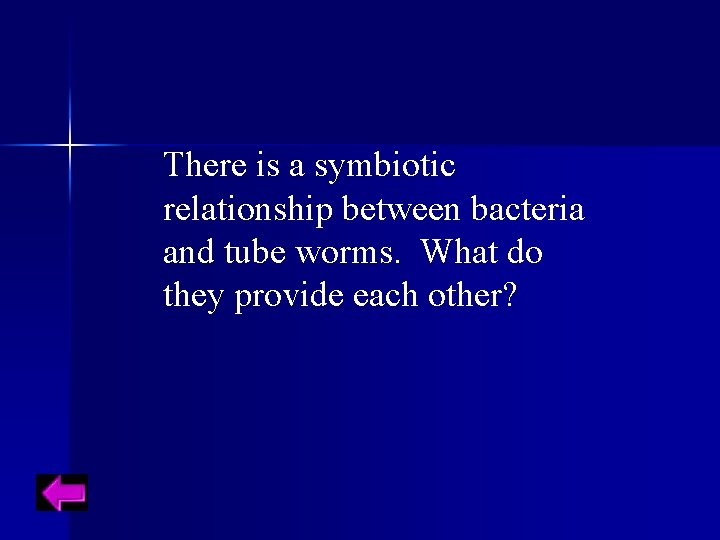 There is a symbiotic relationship between bacteria and tube worms. What do they provide