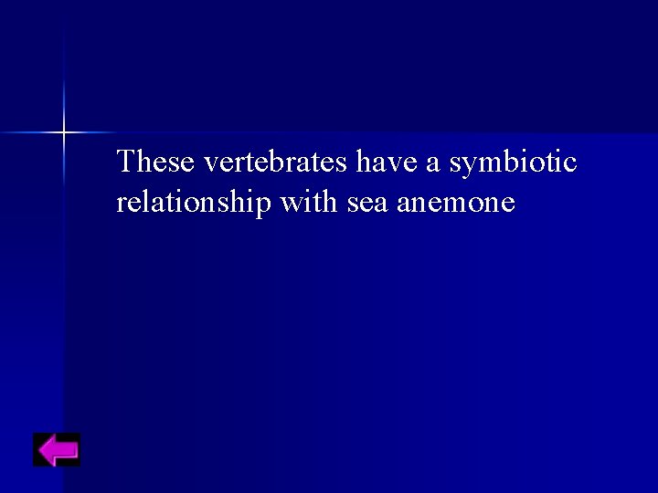 These vertebrates have a symbiotic relationship with sea anemone 